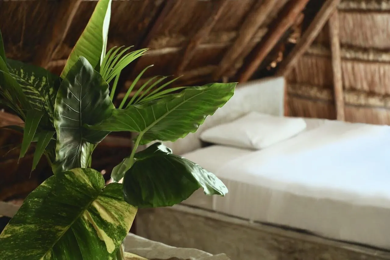 Tuup Jungle Aparthotel Tulum
